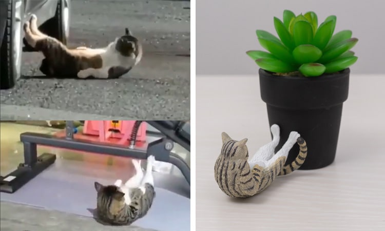 Internet Cat Sculptures