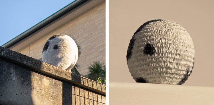 Internet Cat Sculptures