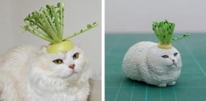 Artist Turns Internet Cat Memes Into Equally Funny Sculptures