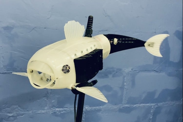 Natural Robotics Contest - 3D Microplastics Fish