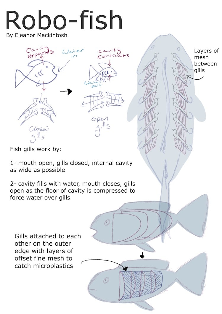 Robo-fish Capable Of Filtering Micro Plastics In Waterways Makes Waves