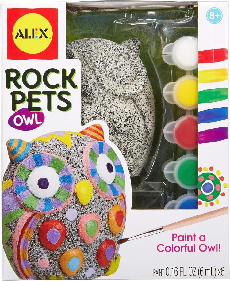 Paintable Pet Rock