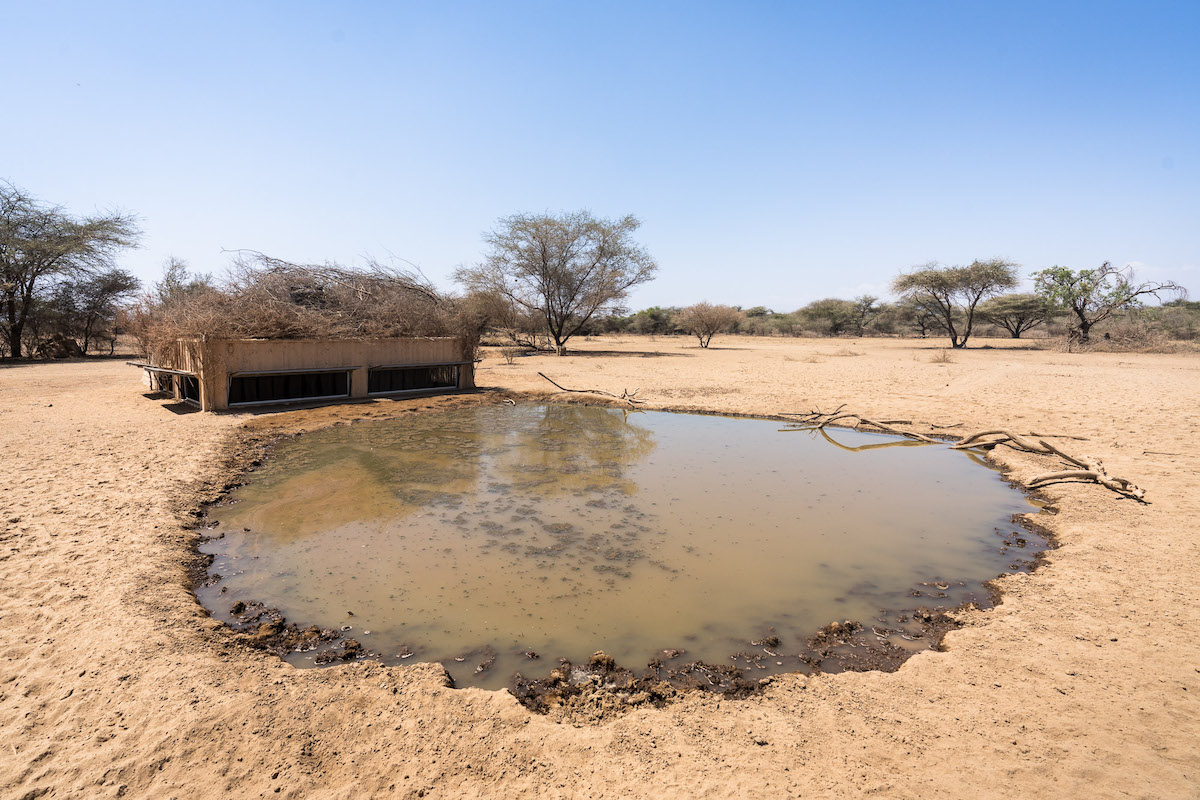 Shompole Hide by Will Burrard-Lucas