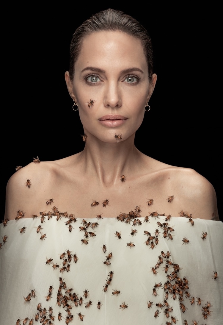 Portrait of Angelina Jolie Covered in Bees