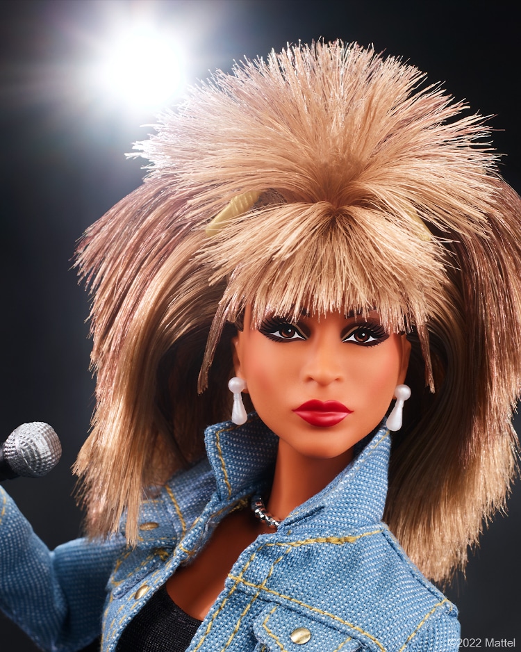 Barbie Introduces Tina Turner Doll