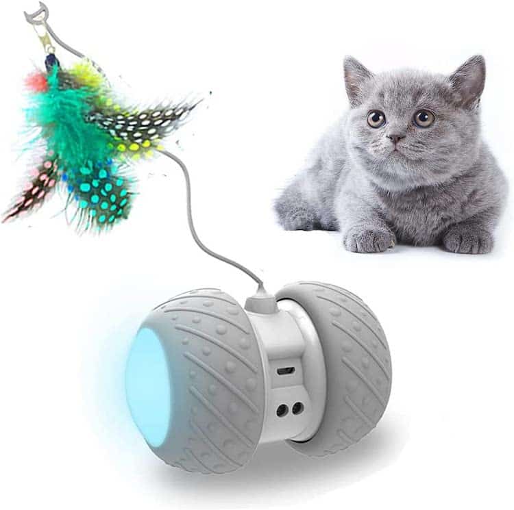 Automated Cat Toys