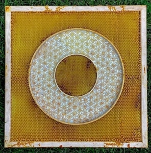 Bees Collaborate with Artist on Beautiful Embroidery Art
