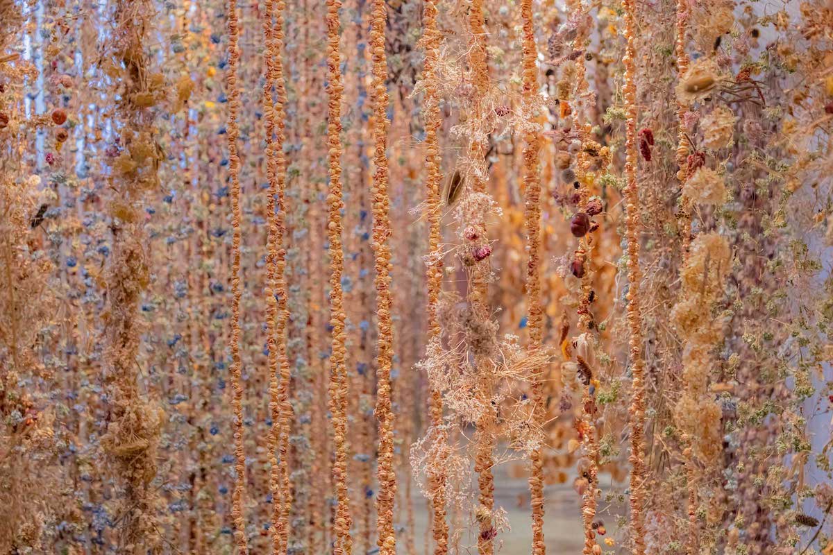 Awakening Installation by Rebeca Louise Law