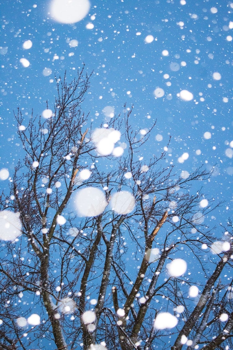 Winter Snow with Bokeh Effect