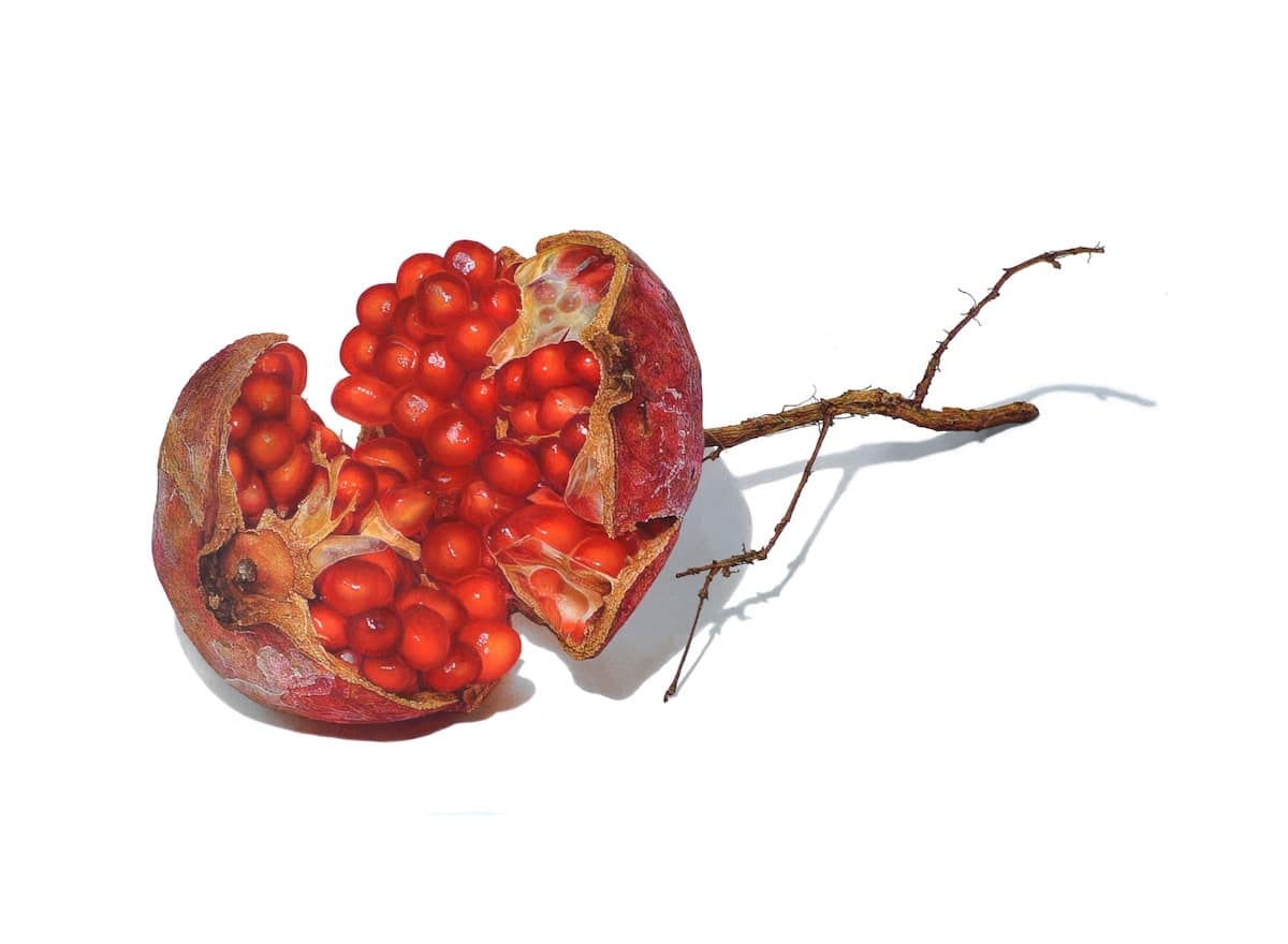 Hyperrealistic Drawings Resemble Actual Plants