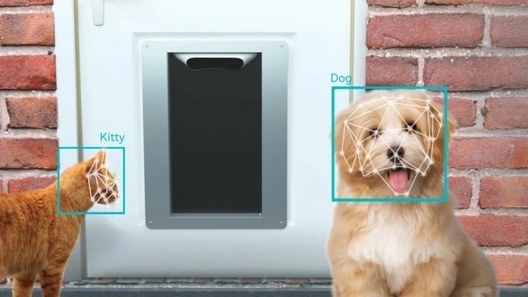 Smart Automatic Pet Door