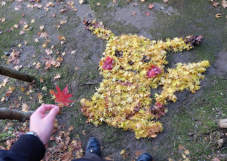 Japanese Art Teacher Rakes Fallen Leaves Into Amazing Works of Art