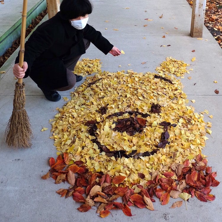 Japanese Art Teacher Rakes Fallen Leaves Into Amazing Works of Art