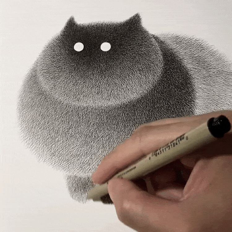 simple cat pencil drawing