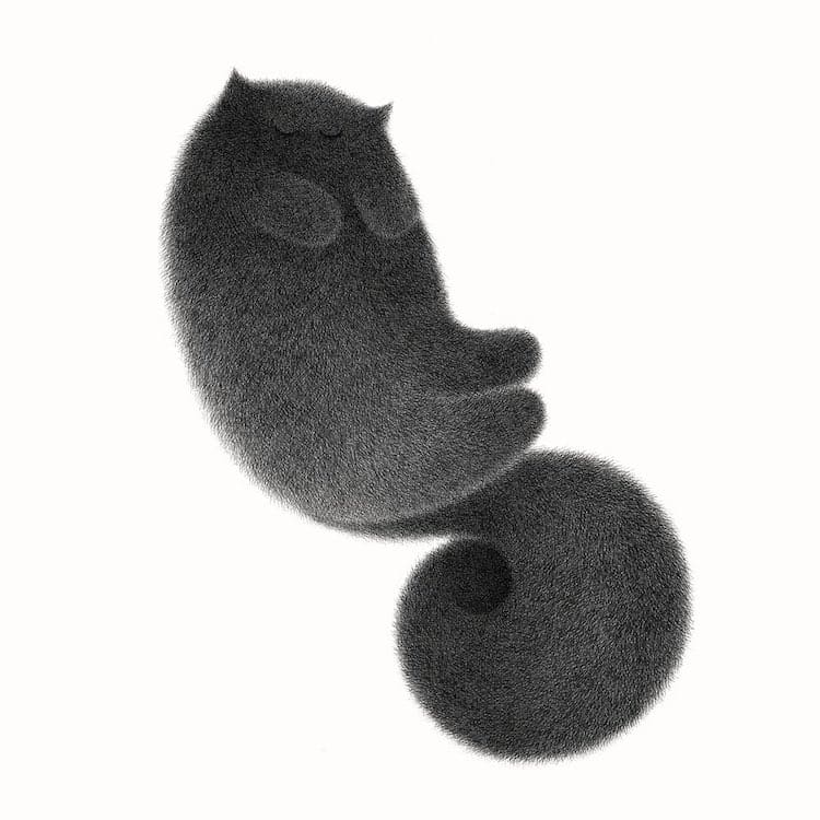 Fluffy Cat Drawings by Kamwei Fong