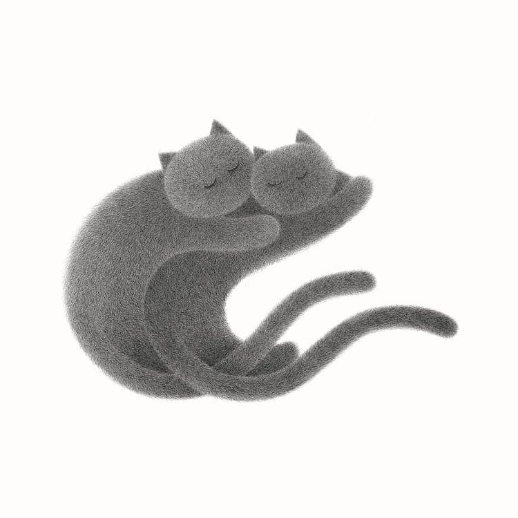 Fluffy Cat Drawings by Kamwei Fong