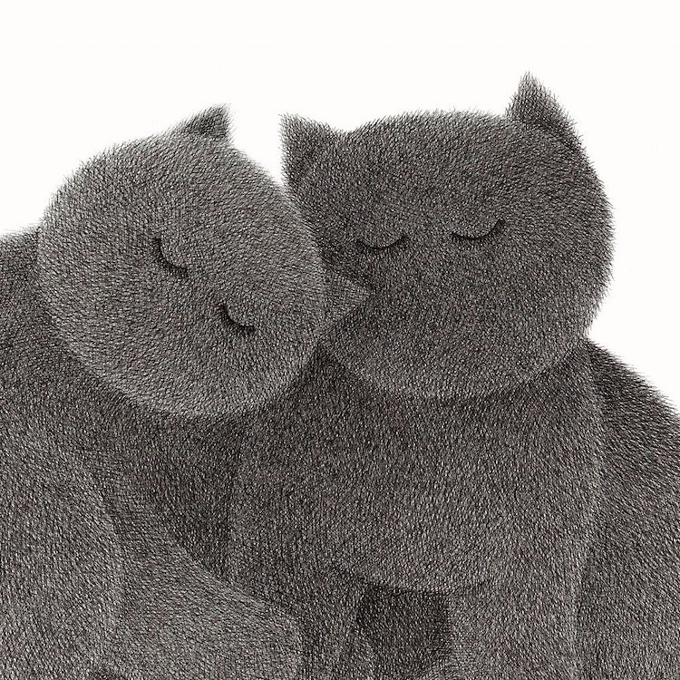 Fluffy Cat Drawings by Kamwei Fong