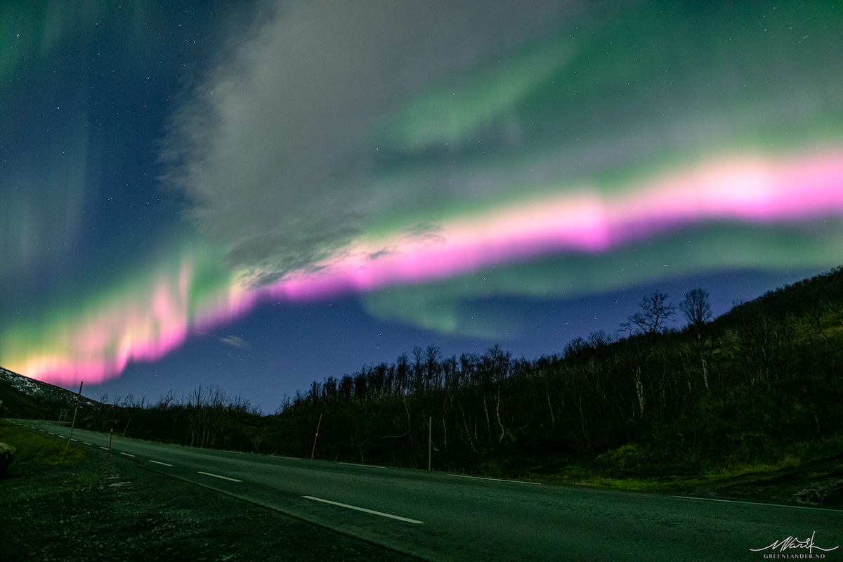 Pink Northern Lights in Tromso, Norway