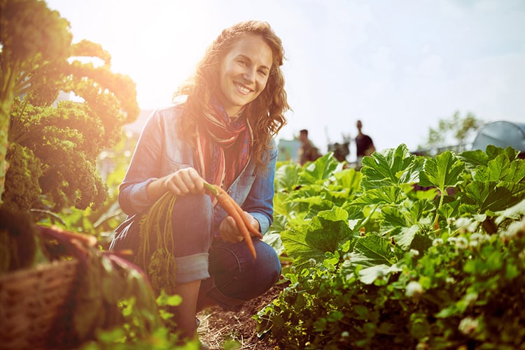 Therapeutic Community Gardening Reduced Loneliness During the Pandemic