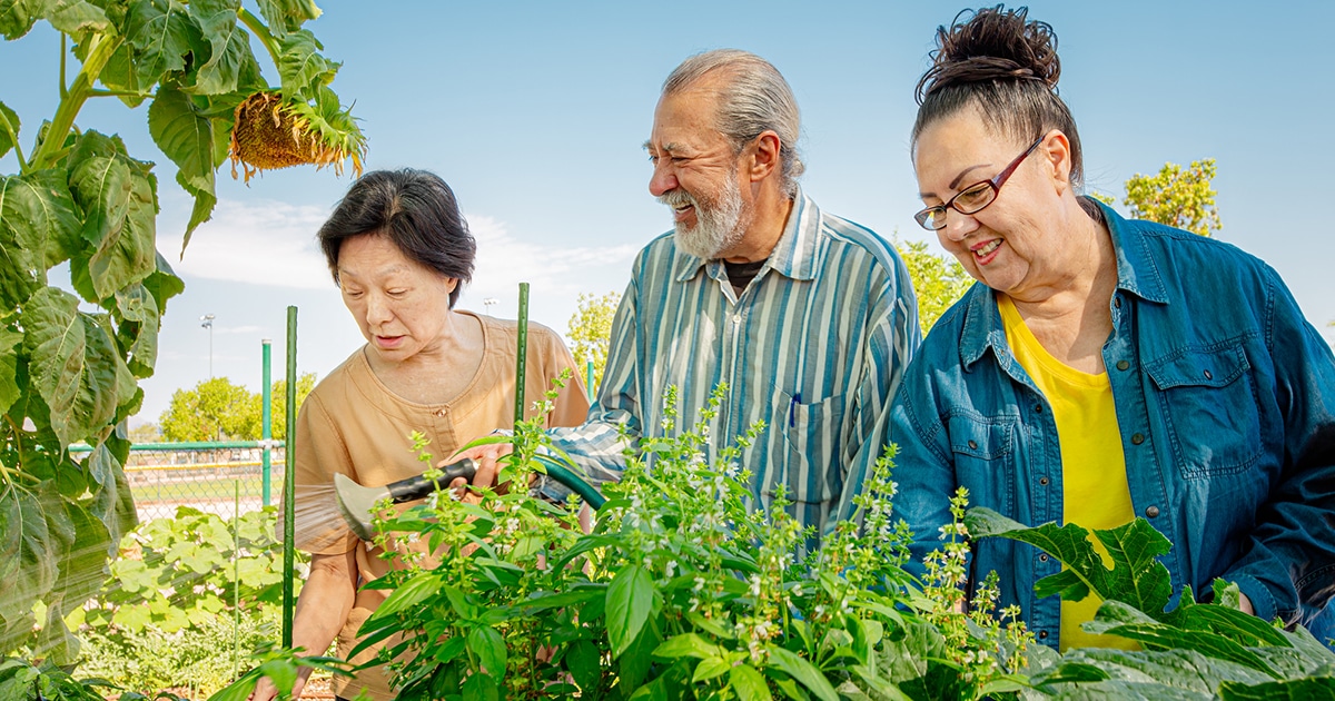 Community Gardening Reduced Loneliness During the Pandemic