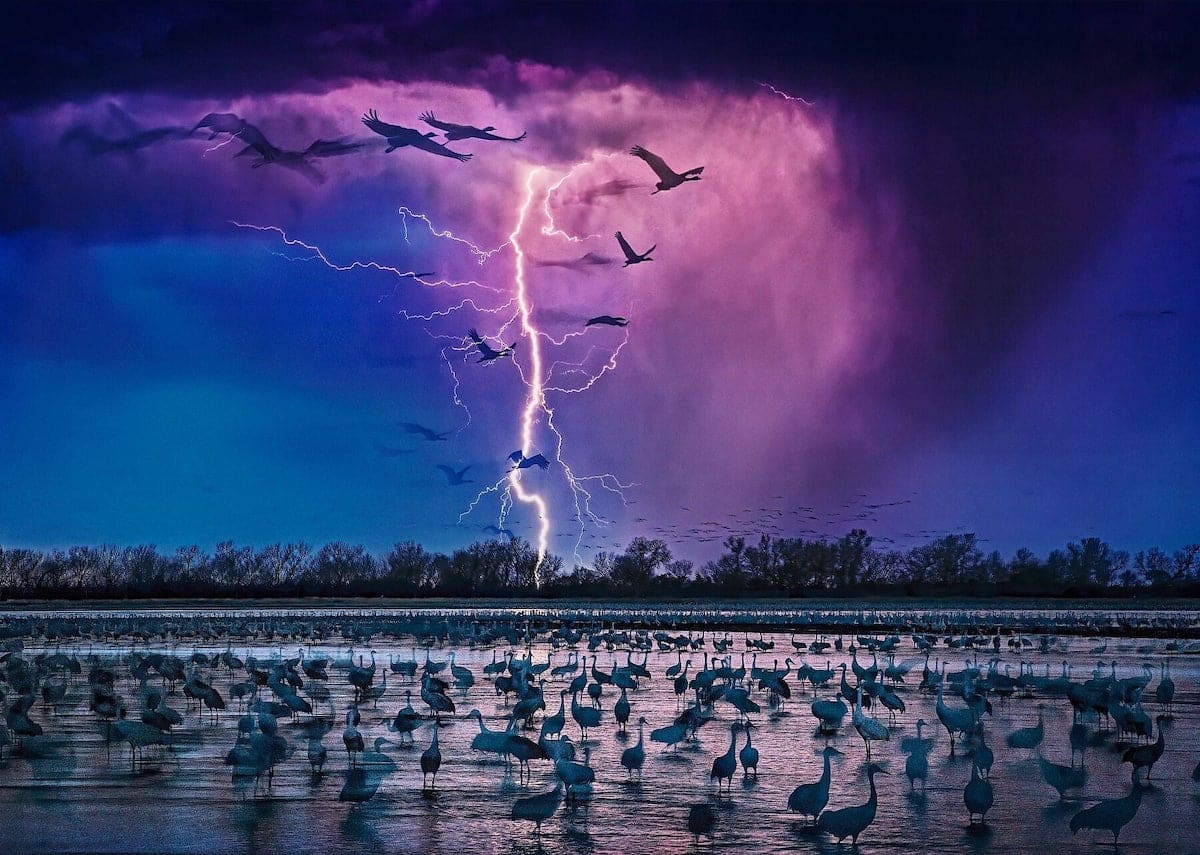 Lightning During Sand Hill Crane Migration