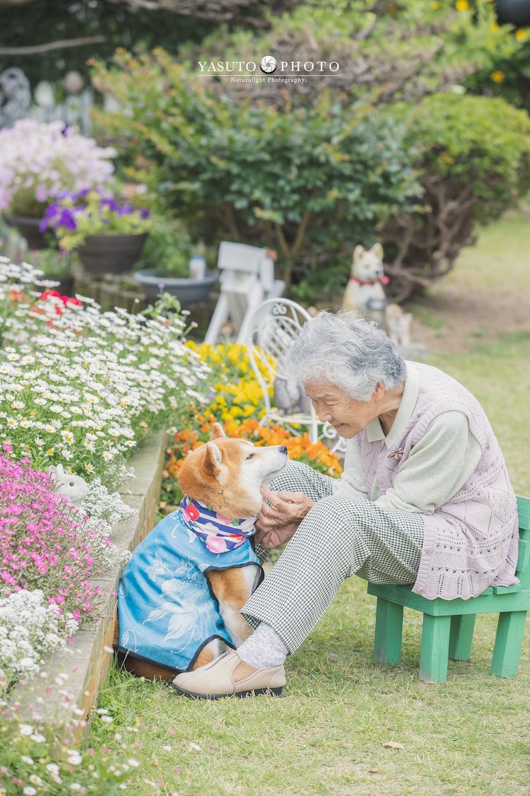 Photos of Grandmother and Her Shiba Inu