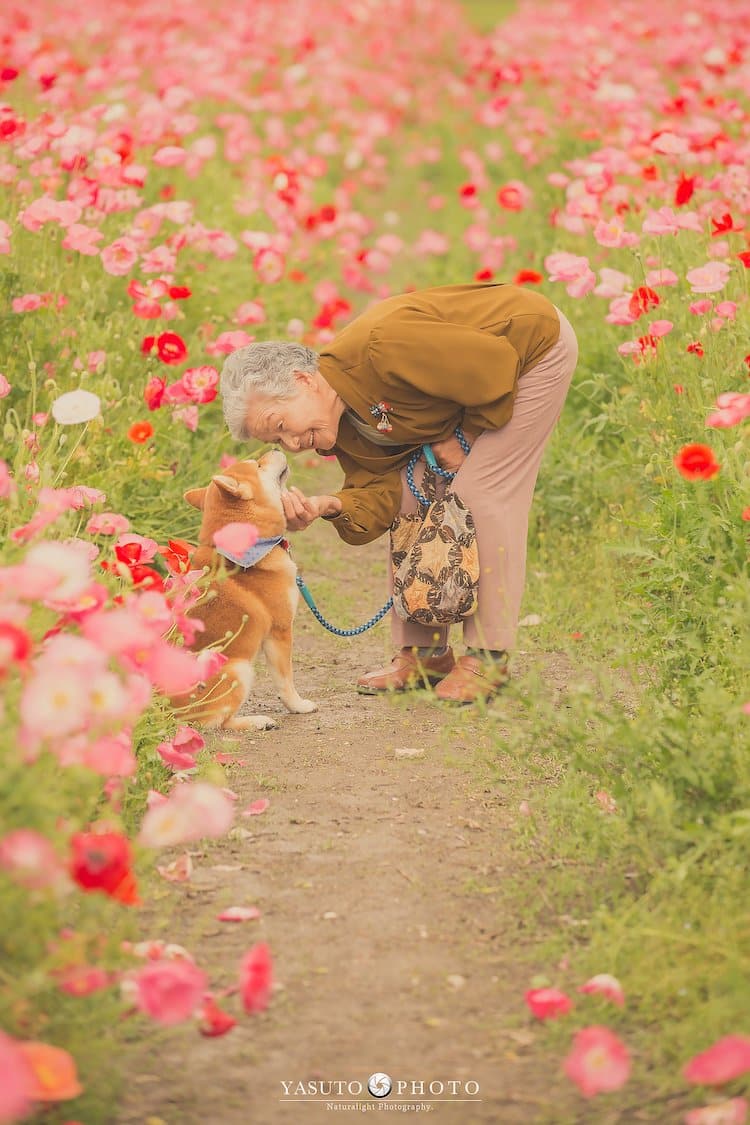 Photos of Grandmother and Her Shiba Inu