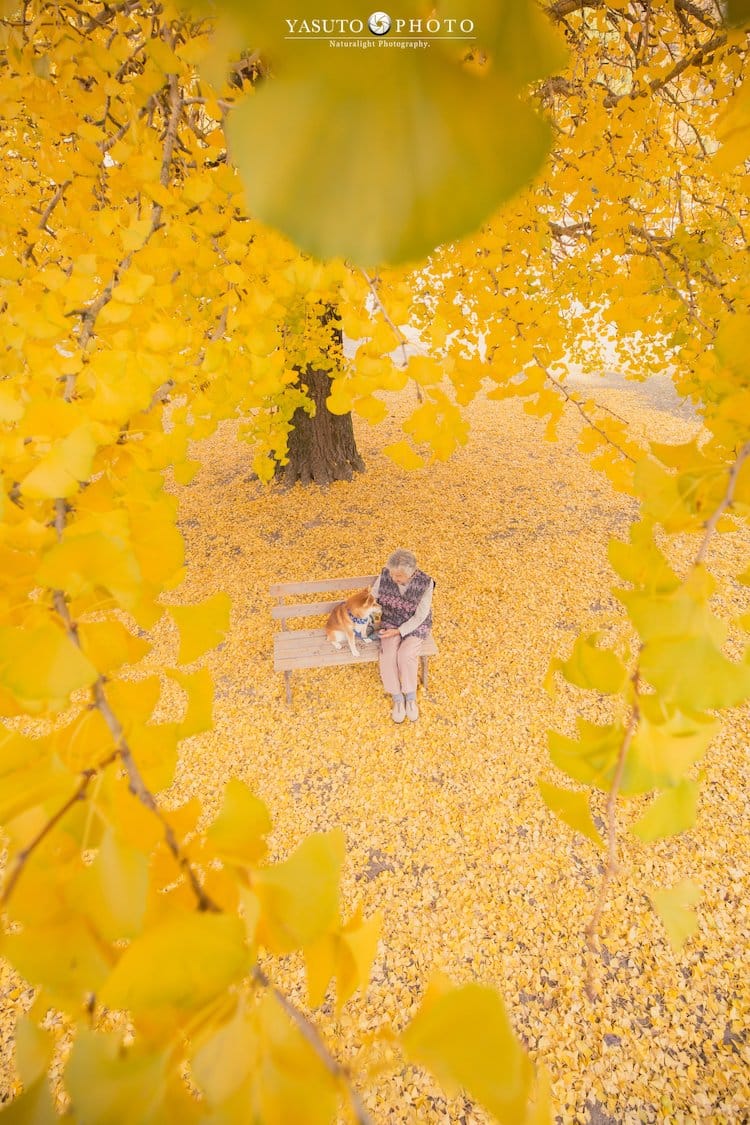 Photos of Grandmother and Her Shiba Inu