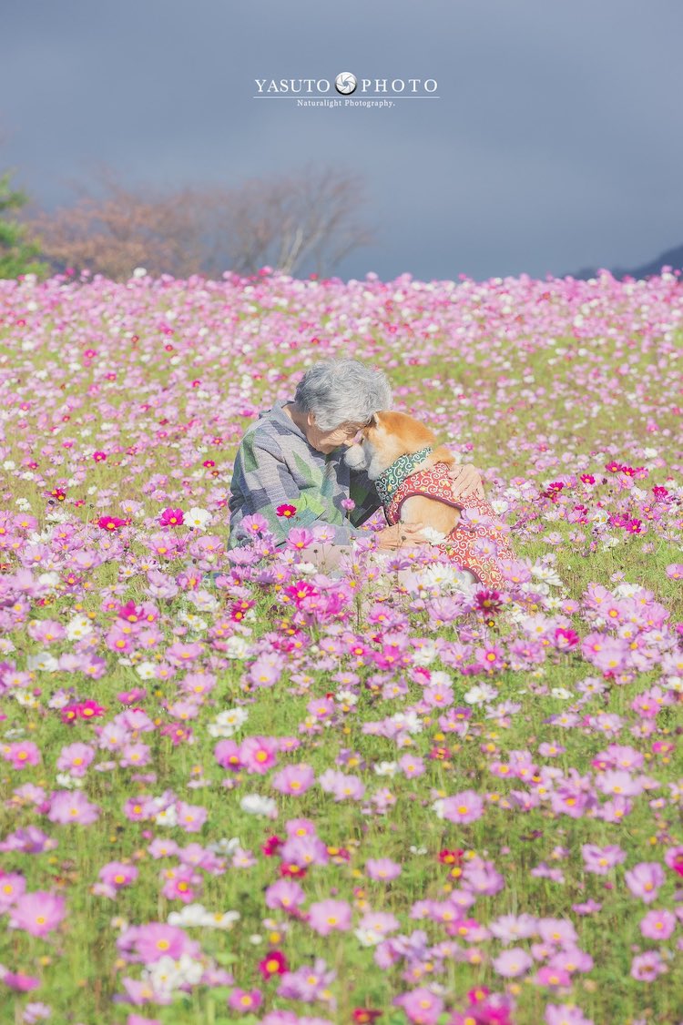 Photos of Grandmother and Her Shiba Inu