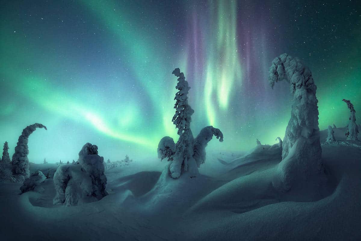 Snowy Trees in Russia with Northern Lights 