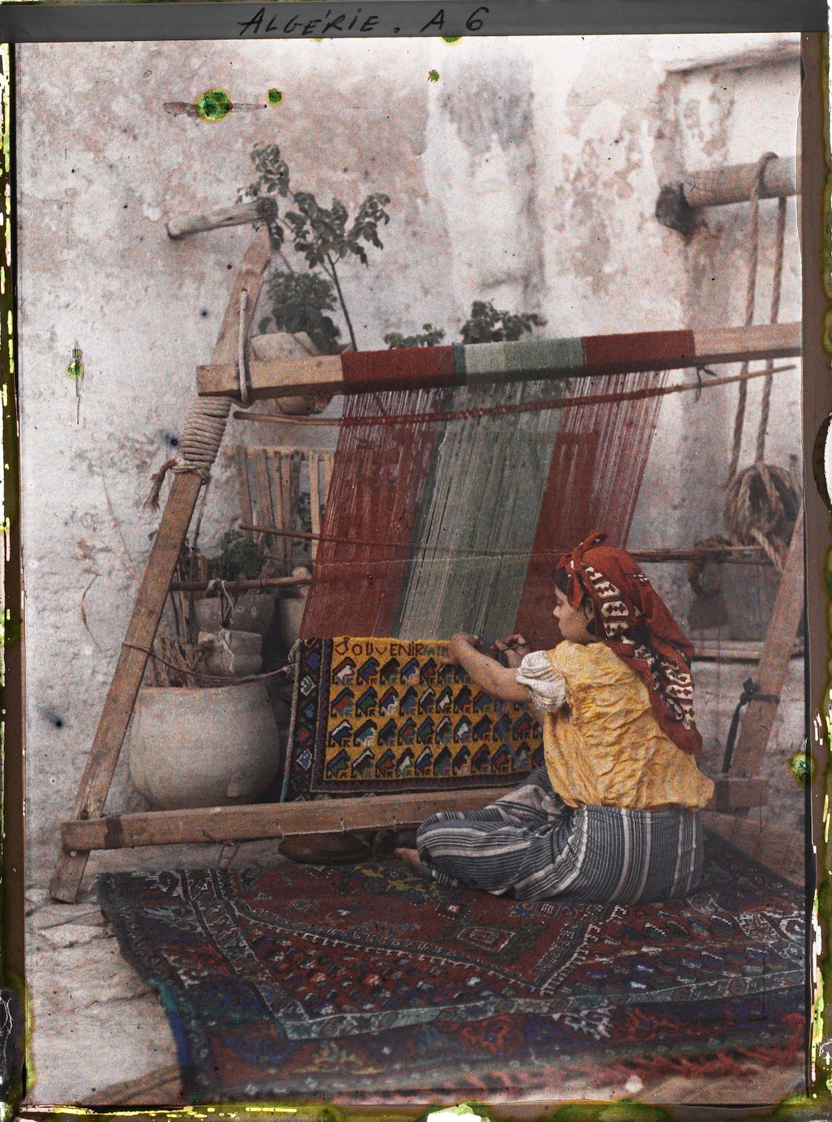 A young carpet weaver in front of her loom in Algiers, Algeria 