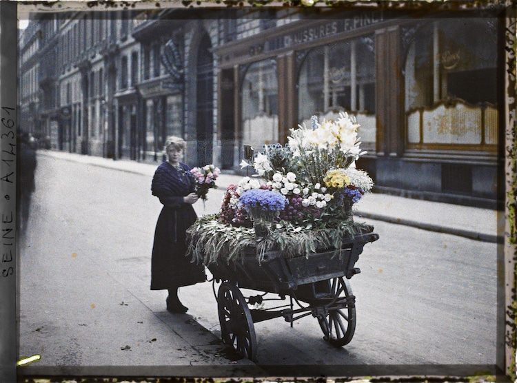 Flower Seller in Early 20th Century France