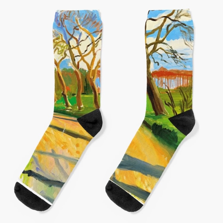 David Hockney art socks