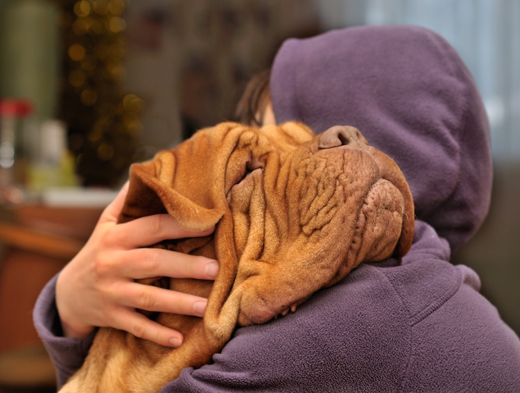 Person loving and hugging a dog