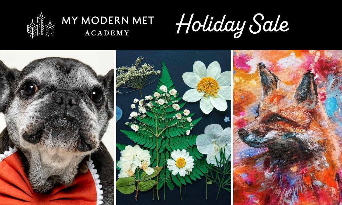 Holiday Sale My Modern Met Academy