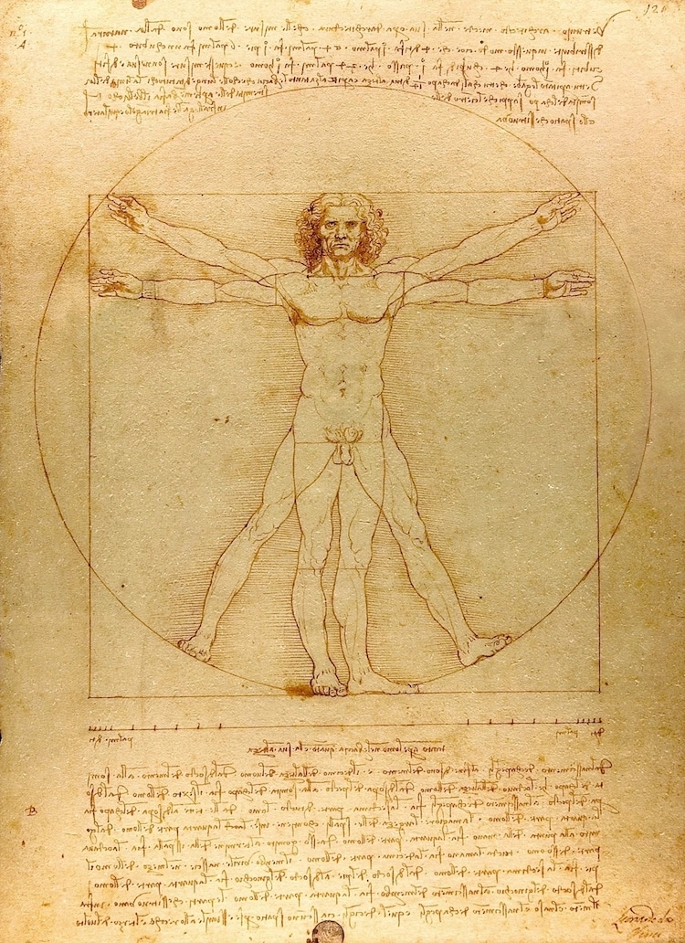 Figure Drawing by Leonardo da Vinci