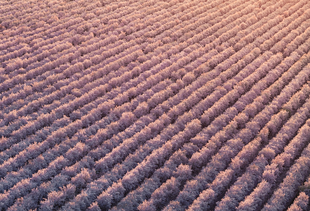 Aerial Photo of a Farm by Mitch Rouse