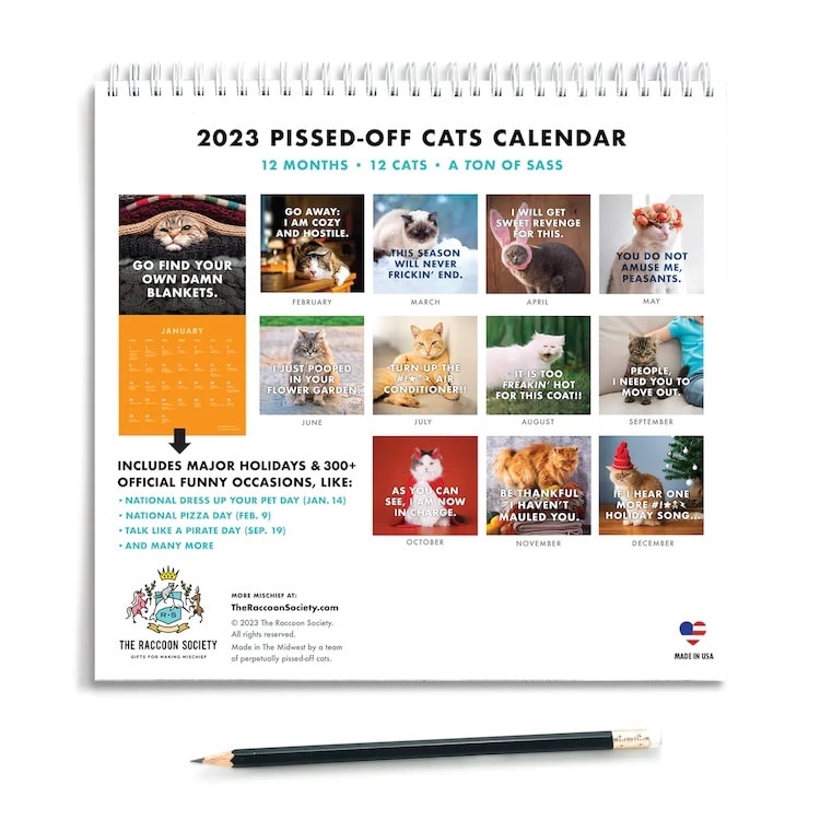 Funny Pissed Off Cats Calendar Delivers A Year Of Sassy Felines For 