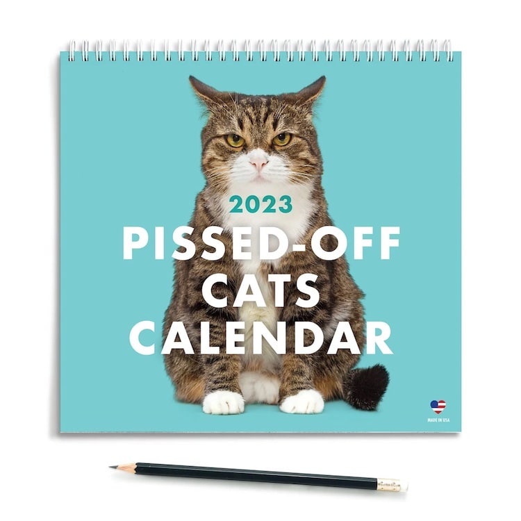 Funny Pissed Off Cats Calendar Delivers A Year Of Sassy Felines For 2023 LaptrinhX News