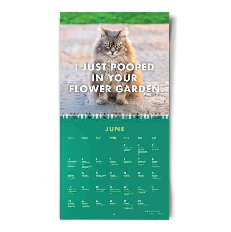 Funny 2023 Cat Calendar Shows 'Pissed Off' Felines All Year Long