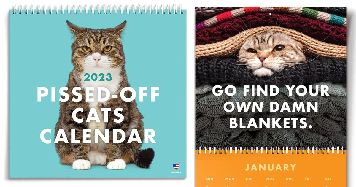 Funny Cat Calendar 2023 Calendar Creative Art Moon Calendar Time