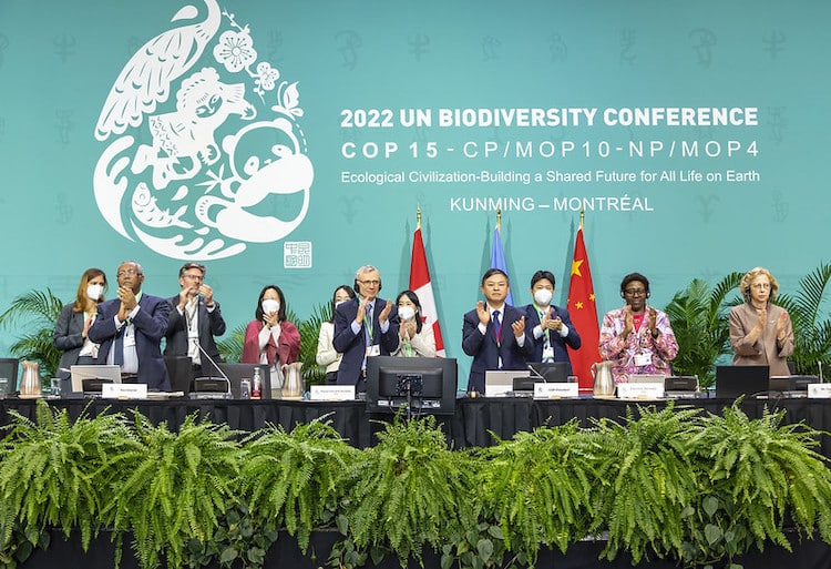 UN Biodiversity Conference - COP15