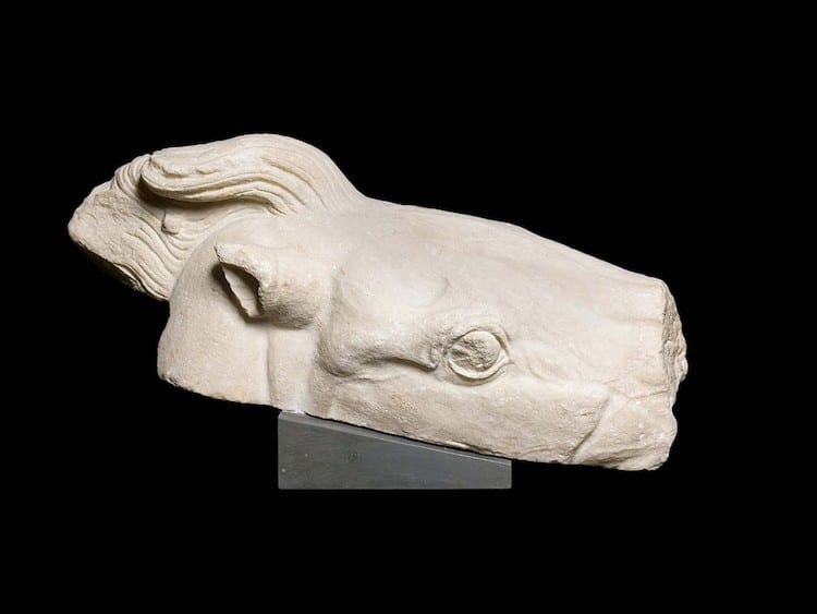 Sculpture of a horse's head from the Parthenon