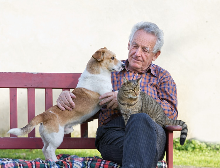 Having Pets May Protect Your Brain’s Cognitive Processing as You Age