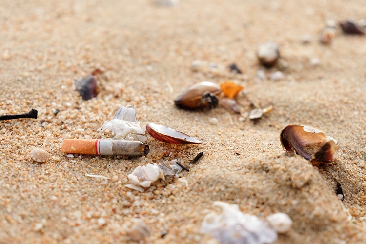 Tobacco Companies Must Pay For Cigarette Butt Pollution Clean-Up In Spain