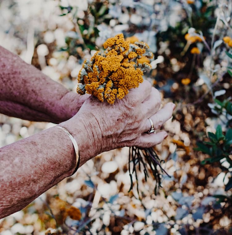 person's hand holding a small bunch of flowers
