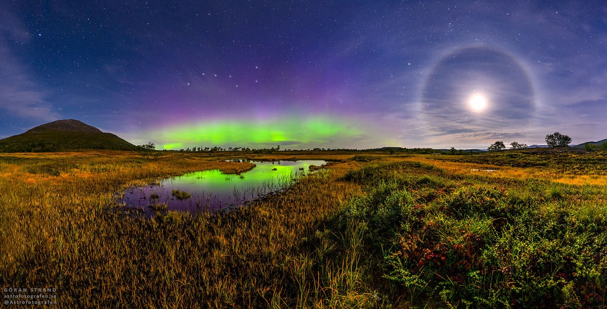 aurora astronomy borealis arctic circle