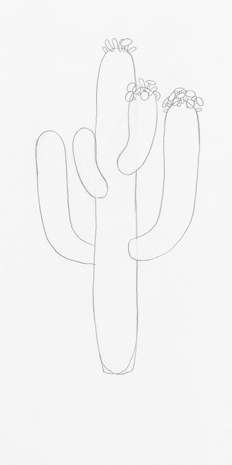 How to Draw a Cactus Step by Step