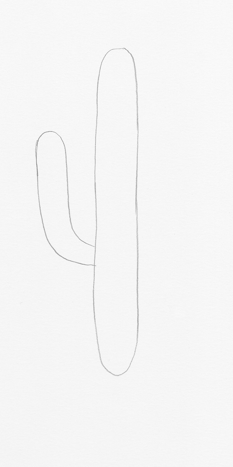 saguaro cactus outline