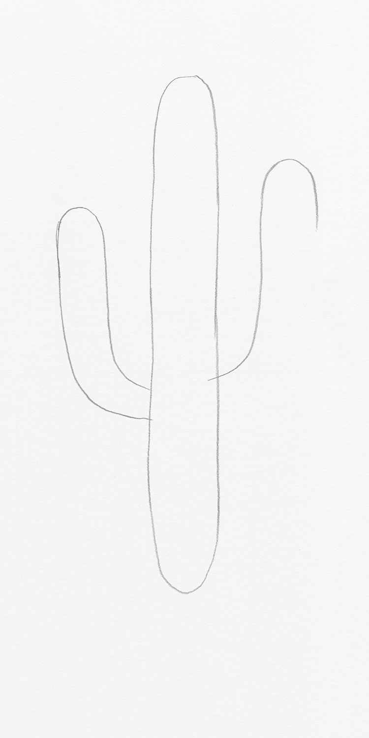 How to Draw a Cactus Step by Step